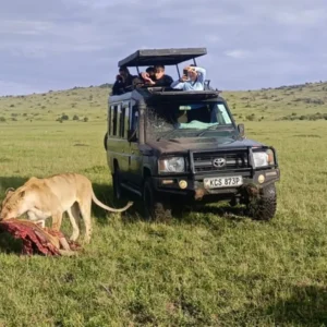 Masai Mara & Lake Nakuru